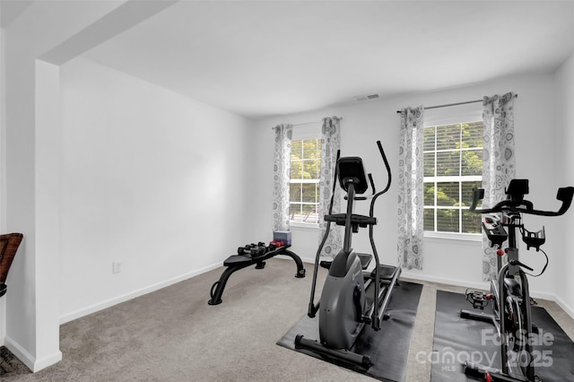 10104 Treetop Ln, Cornelius, NC 28031 - exercise room with carpet and baseboards