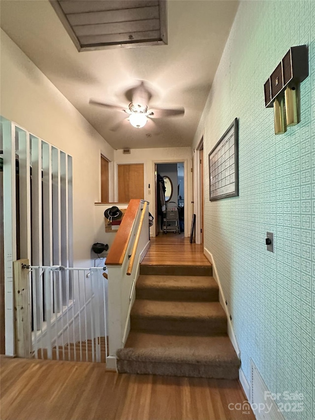 408 E Blume St, Landis, NC 28088 - stairs with wood finished floors and ceiling fan