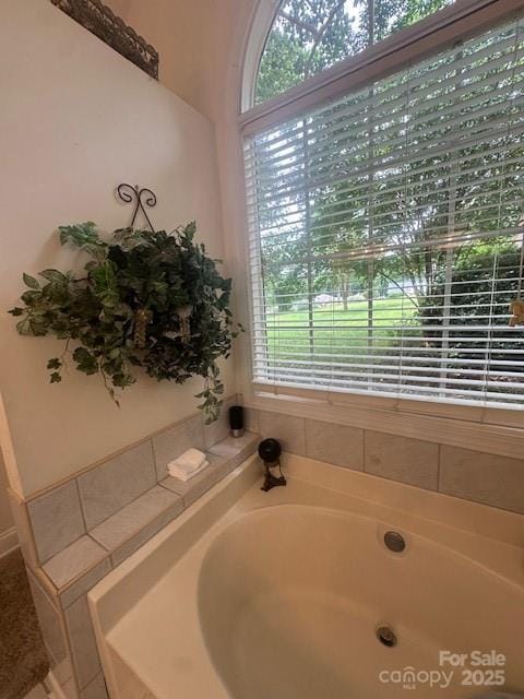 104 Whimbrel Ln, Mooresville, NC 28117 - bathroom featuring healthy amount of natural light and a garden tub