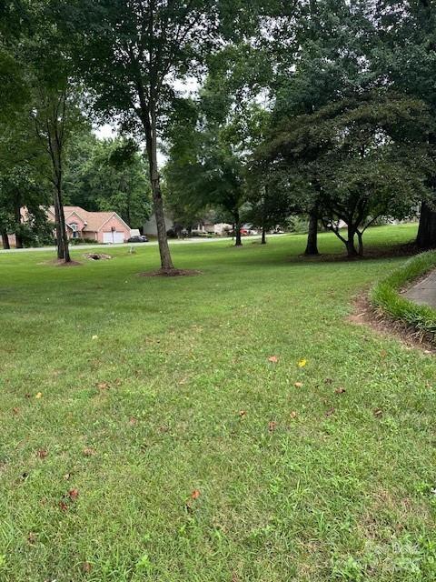104 Whimbrel Ln, Mooresville, NC 28117 - view of green lawn