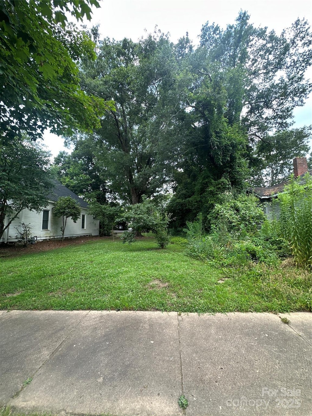 525 College Ave, Rock Hill, SC 29730 - photo 3