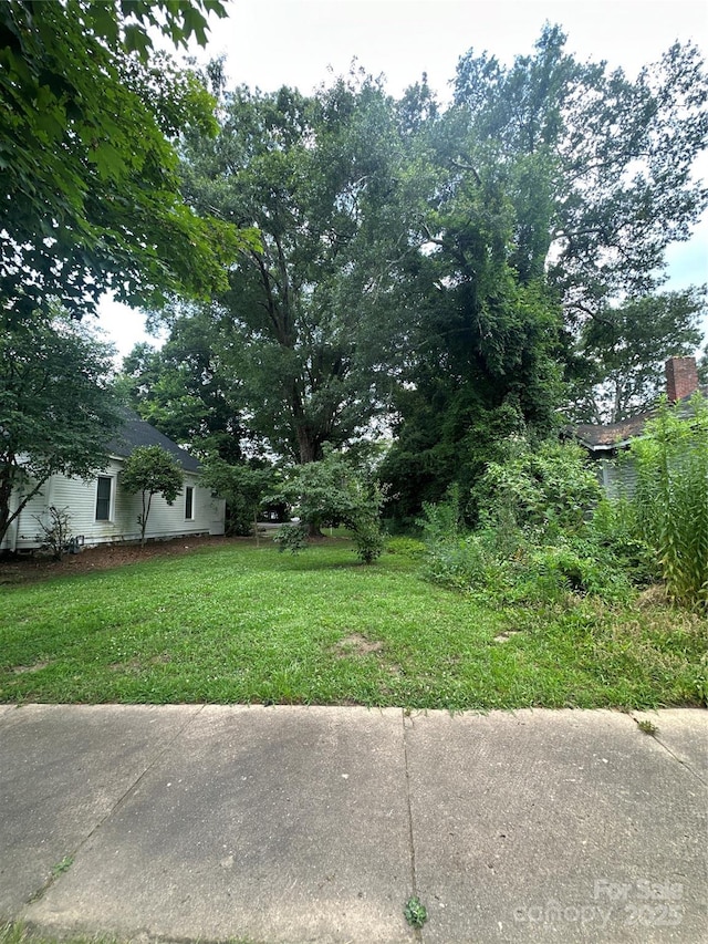 525 College Ave, Rock Hill, SC 29730 - photo 3