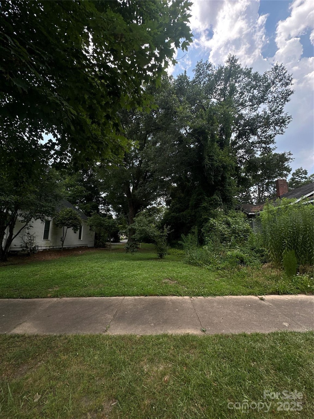 525 College Ave, Rock Hill, SC 29730 - photo 4