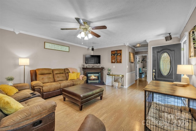 116 Eastwood Park Dr SE, Lenoir, NC 28645 - living room featuring ceiling fan, crown molding, light wood finished floors, a glass covered fireplace, and a textured ceiling