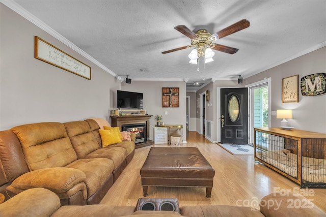 116 Eastwood Park Dr SE, Lenoir, NC 28645 - living area with light wood-style floors, a ceiling fan, crown molding, a textured ceiling, and a glass covered fireplace
