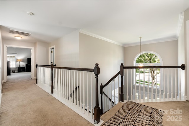 10717 Dapple Grey Ln, Charlotte, NC 28213 - photo 22