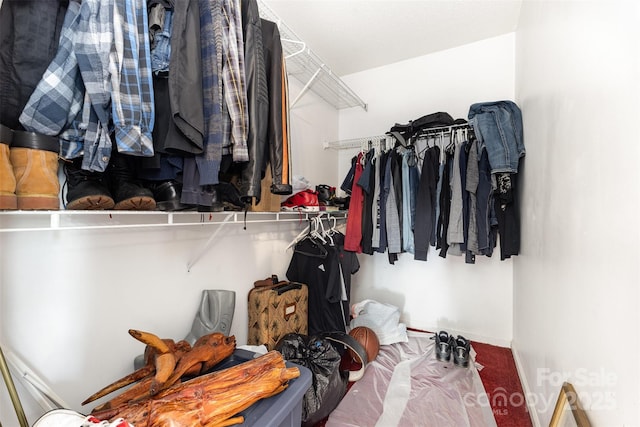 2916 Northwood Dr, Monroe, NC 28110 - spacious closet with carpet floors