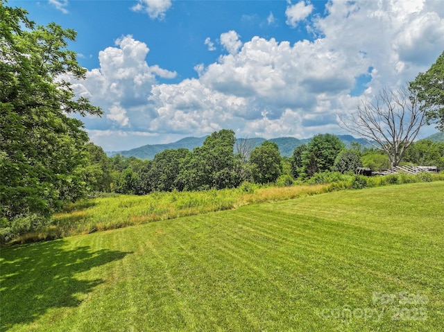 913 N Canton Rd, Canton, NC 8716 - photo 14