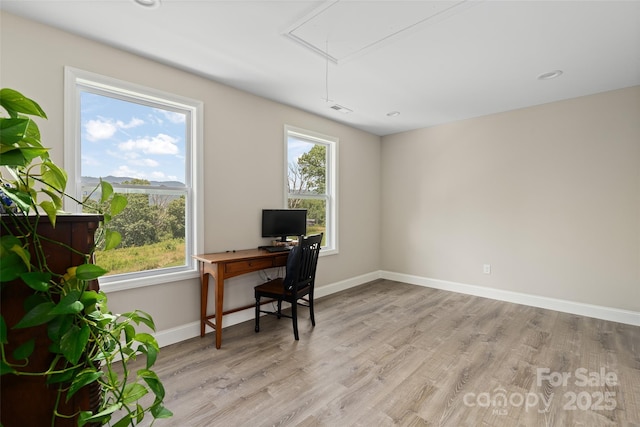 913 N Canton Rd, Canton, NC 8716 - photo 19