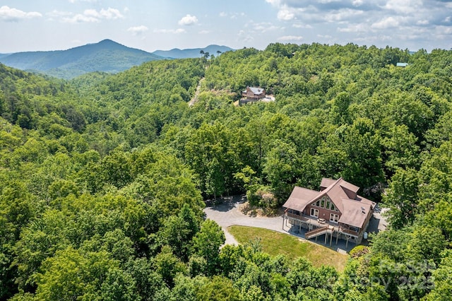 26 Upper Ridge Rd, Black Mountain, NC 28711 - photo 2