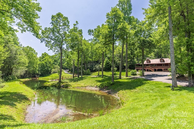 26 Upper Ridge Rd, Black Mountain, NC 28711 - photo 31