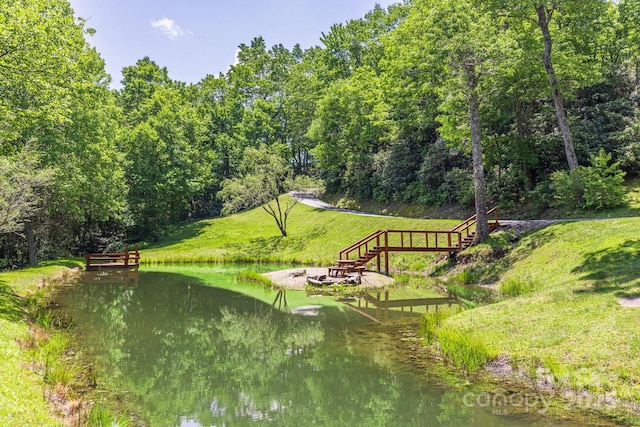 26 Upper Ridge Rd, Black Mountain, NC 28711 - photo 33