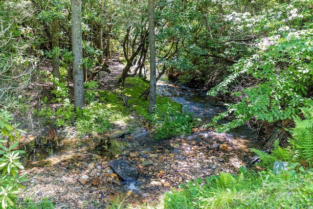 26 Upper Ridge Rd, Black Mountain, NC 28711 - photo 36