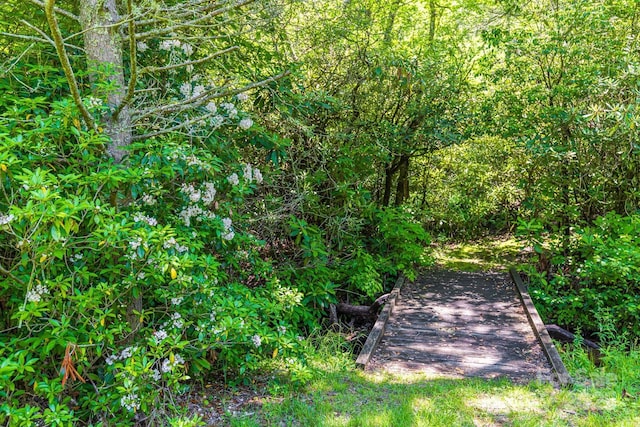 26 Upper Ridge Rd, Black Mountain, NC 28711 - photo 37
