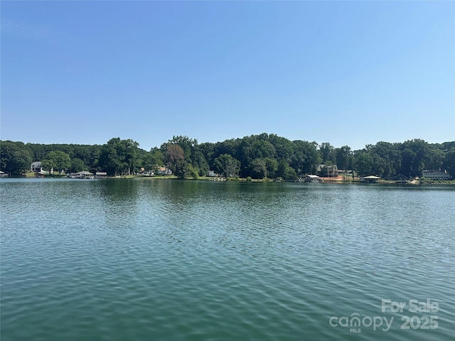 195 Keats Rd, Mooresville, NC 28117 - photo 34