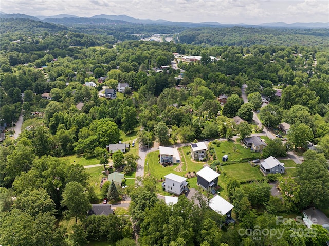 102 E Skyland Cir, Asheville, NC 28804 - photo 41