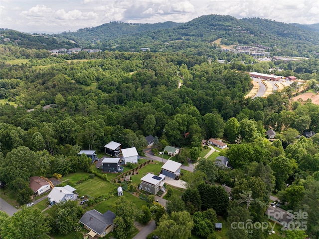 102 E Skyland Cir, Asheville, NC 28804 - photo 47