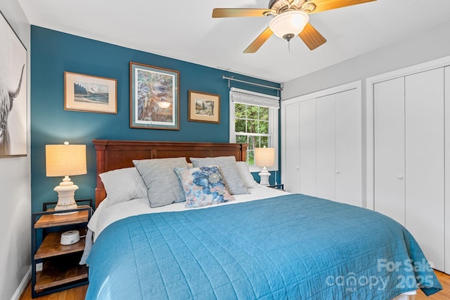 10 Daniel Ln, Black Mountain, NC 28711 - bedroom with wood finished floors, two closets, and ceiling fan