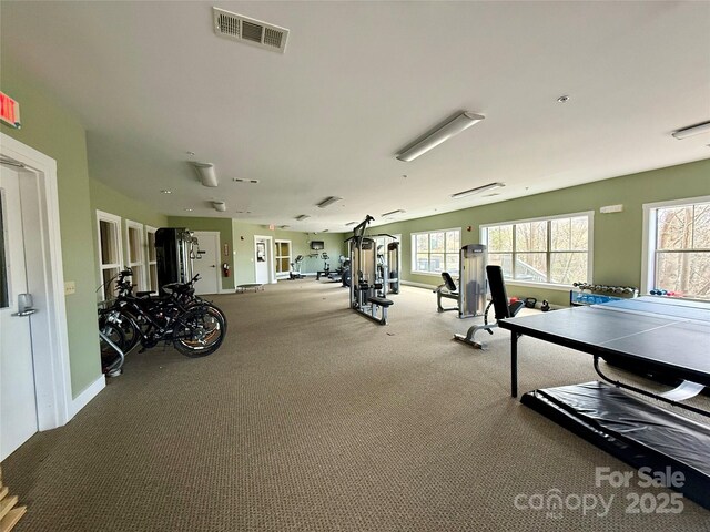 9 Kenilworth Knl Unit 115, Asheville, NC 28805 - photo 28