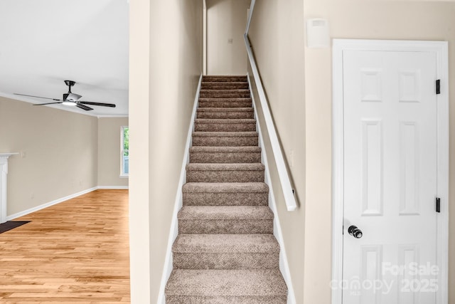 953 Milkwood Ln, Monroe, NC 28110 - photo 14