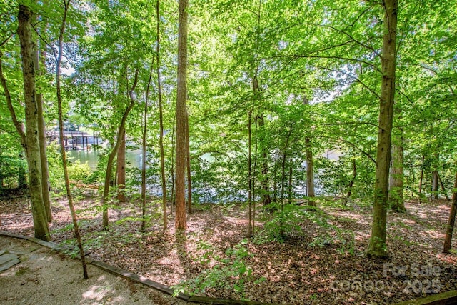 127 Melrose Ln Unit 220, Mooresville, NC 28117 - photo 24