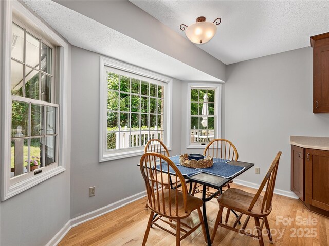 189 Cove Loop Rd, Hendersonville, NC 28739 - dining area with light wood-style floors and a textured ceiling