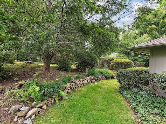 189 Cove Loop Rd, Hendersonville, NC 28739 - view of green lawn