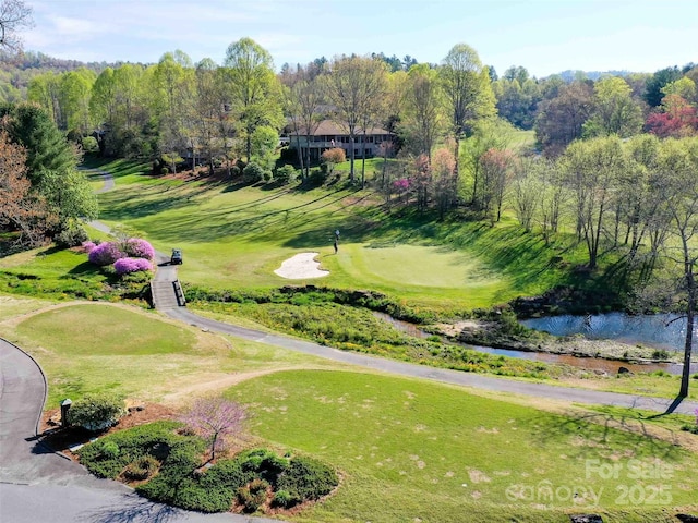 189 Cove Loop Rd, Hendersonville, NC 28739 - view of property's community featuring a water view