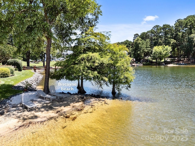 17925 Kings Point Dr Unit F, Cornelius, NC 28031 - photo 33