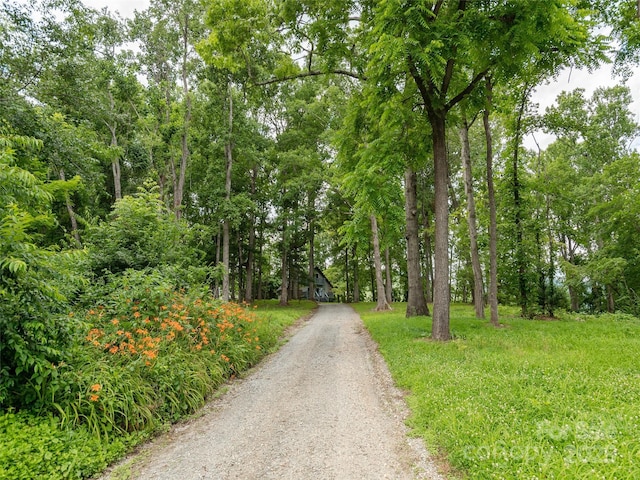 2771 Old Clear Creek Rd, Hendersonville, NC 28792 - photo 2