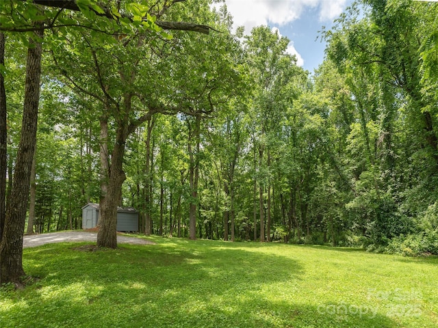 2771 Old Clear Creek Rd, Hendersonville, NC 28792 - photo 26