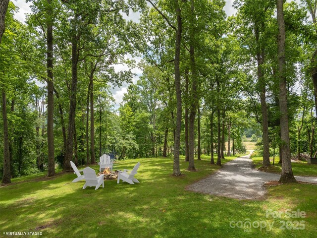 2771 Old Clear Creek Rd, Hendersonville, NC 28792 - photo 29