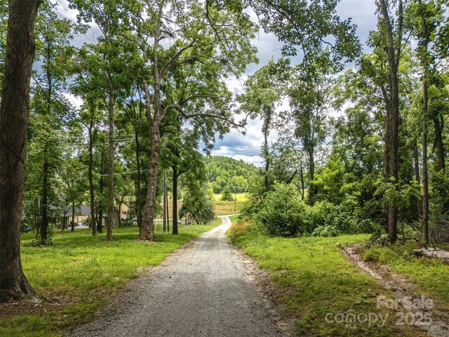 2771 Old Clear Creek Rd, Hendersonville, NC 28792 - photo 30