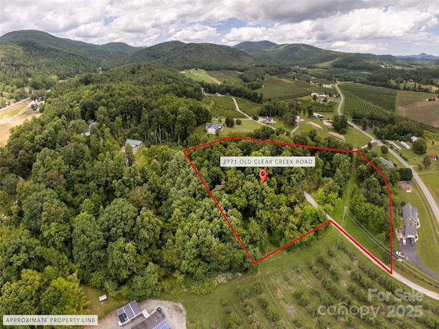 2771 Old Clear Creek Rd, Hendersonville, NC 28792 - photo 31