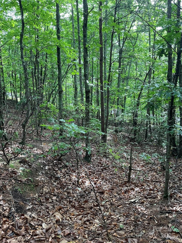 0 Valley View Ct, Hickory, NC 28602