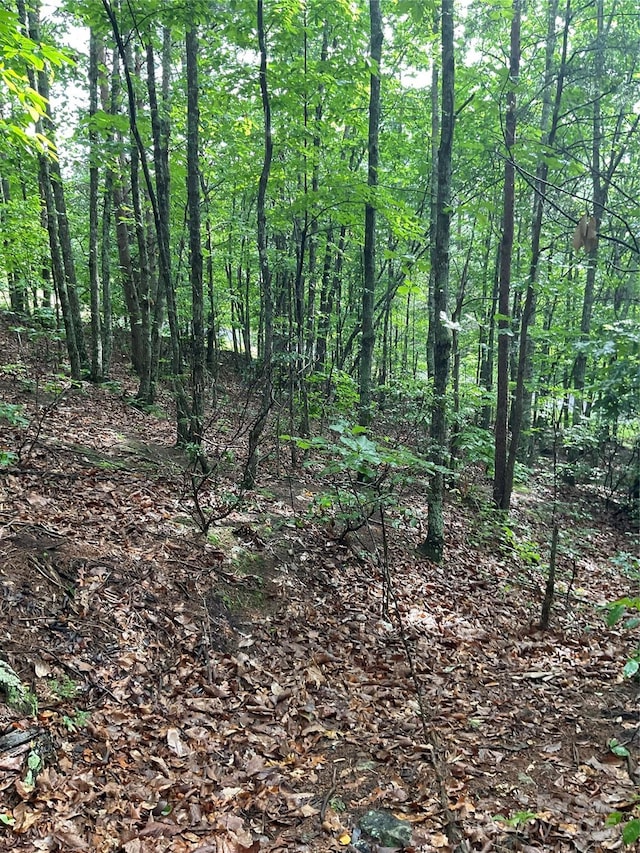 0 Valley View Ct, Hickory, NC 28602