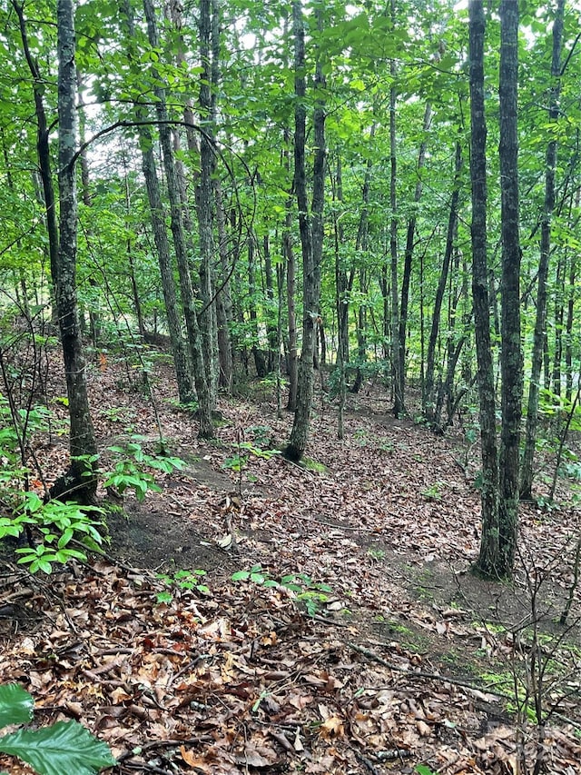 0 Valley View Ct, Hickory, NC 28602