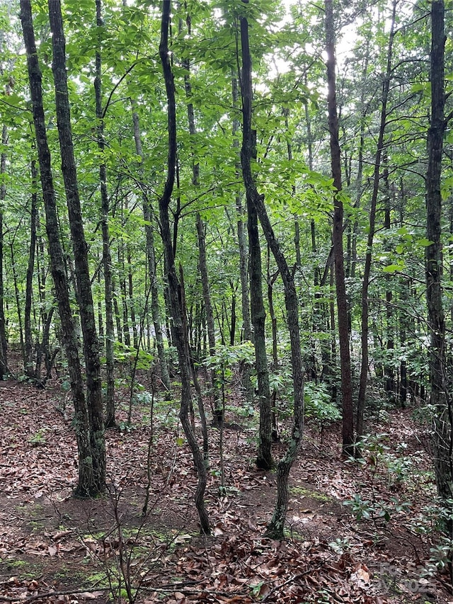 0 Valley View Ct, Hickory, NC 28602