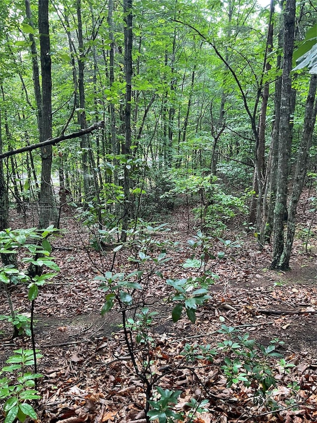 0 Valley View Ct, Hickory, NC 28602