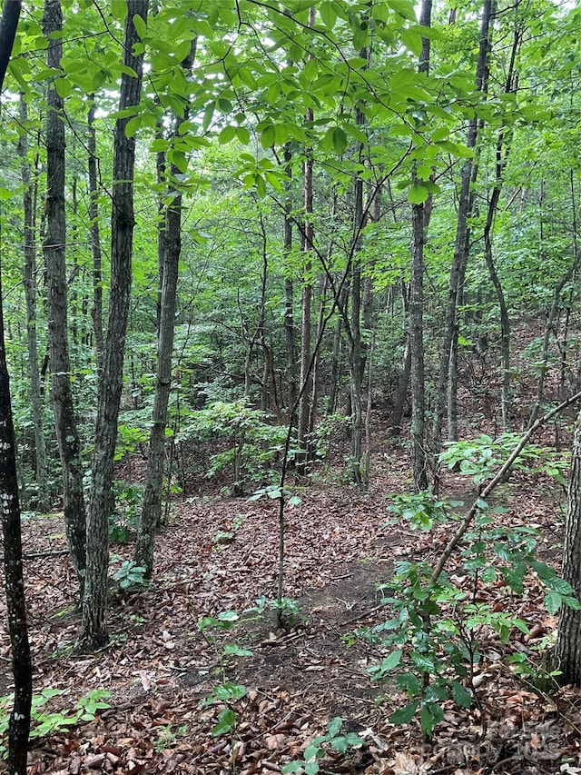 0 Valley View Ct, Hickory, NC 28602