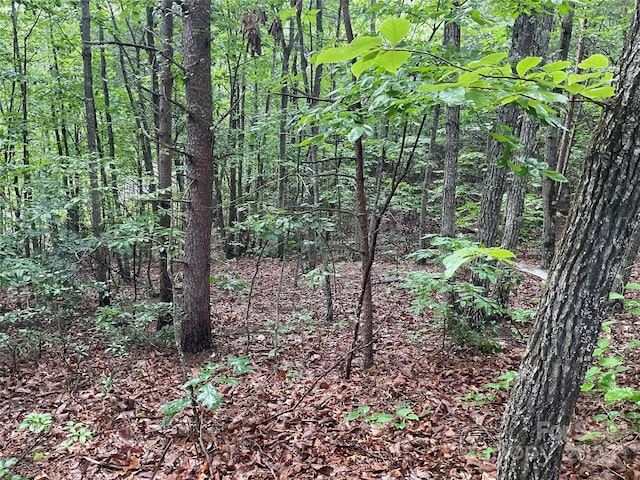 0 Valley View Ct, Hickory, NC 28602