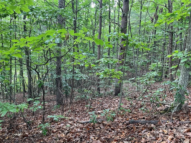 0 Valley View Ct, Hickory, NC 28602