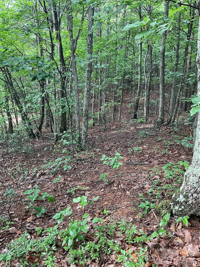 0 Valley View Ct, Hickory, NC 28602