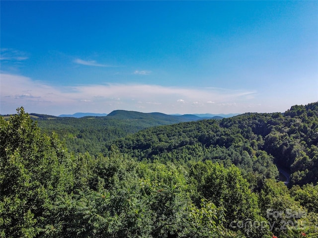 78 E Splitrail Dr, Hendersonville, NC 28792 - photo 2