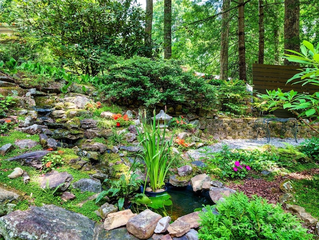 23 Indigo Way, Hendersonville, NC 28739 - view of nature