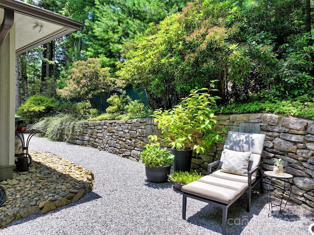 23 Indigo Way, Hendersonville, NC 28739 - view of patio