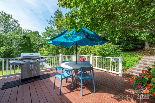 12 Apple Tree Way, Asheville, NC 28805 - photo 4