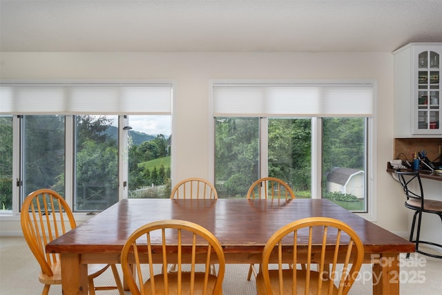 12 Apple Tree Way, Asheville, NC 28805 - photo 15