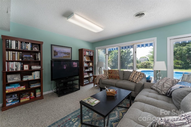 12 Apple Tree Way, Asheville, NC 28805 - photo 33