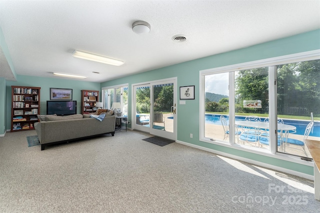12 Apple Tree Way, Asheville, NC 28805 - photo 35